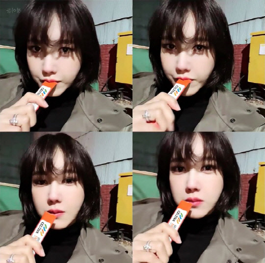 사진= 셀티바 제공